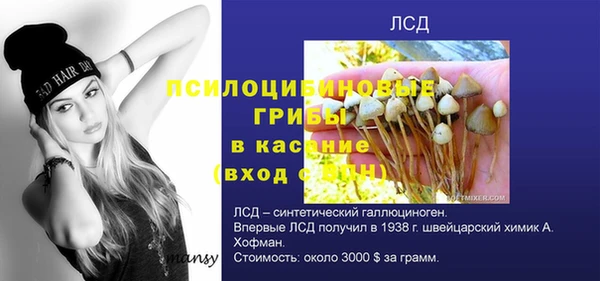 прущие грибы Армянск