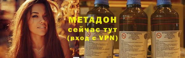 прущие грибы Армянск