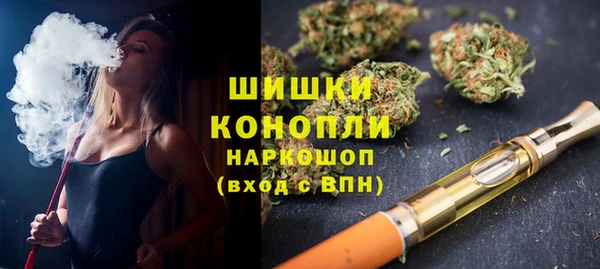 прущие грибы Армянск