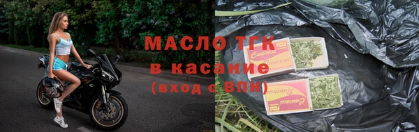 прущие грибы Армянск