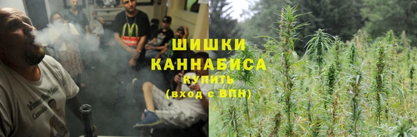 прущие грибы Армянск